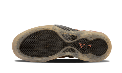 Air Foamposite One "COPPER" 314996 081